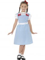 Country Girl (dorothy) Costume