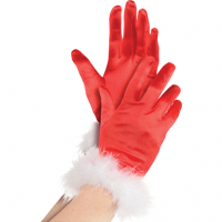 Santa Gloves, Red With White Trim