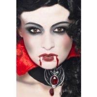 Vampire Make Up Set