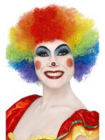 Crazy Clown Multicolour Wig