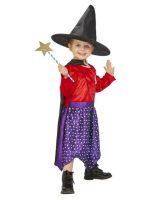 Julia Donaldson Room On The Broom Costume