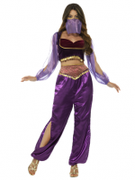 Arabian Princess Purple - Adult Costume