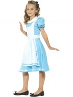 Wonderland Princess Costume (Alice)