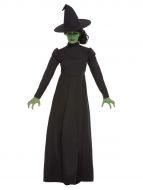 Wicked Witch Costume