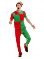 Elf Fancy Dress Costume 