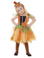 Pumpkin Fairy Costume