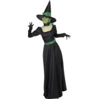 Wicked Witch Costume, Black